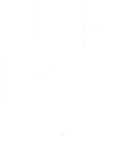 Viva Vinos : Brand Short Description Type Here.